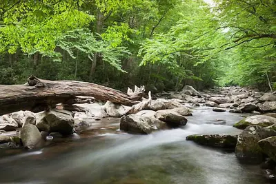 Image de Hôtel de campagne près du parc d'attractions de Gatlinburg avec piscines intérieure / extérieure chauffées, bains à remous et salles de jeux