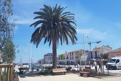 Image de Superbe appartement Vue Etang de Thau / Terrasse lumineuse -