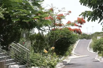 Image de Villa confortable avec 1 chambre