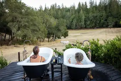 Image de 4700 pieds carrés ranch de 4 chambres et 4 salles de bains, spécial octobre et spécial Noël, lisez ci-dessous