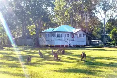 Image de Lake Weyba Noosa Lodge et des kangourous sympathiques