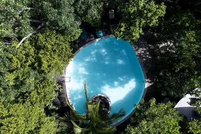 Image de Ph moderne et spacieux: piscine privée, de luxe et jungle pour les amoureux de la nature