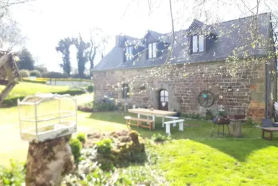 Image de ---------Chestnut - La Châtaigne-----------