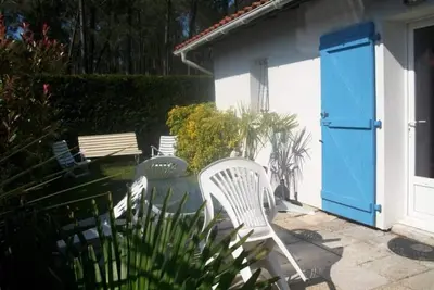 Image de Nid d amour dans les landes.