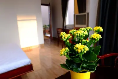 Image de Star Fruit Homestay - Chambre de mai