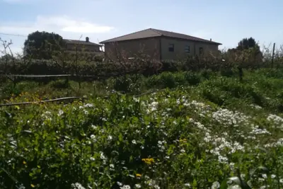 Image de Appartement de 70m ² sur la mer parmi les oliviers près de Follonica