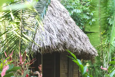 Image de Toucan Cabana - Cabanes de la rivière Cohune Palms