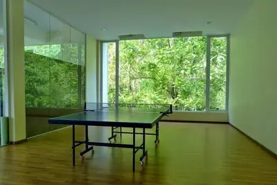 Image de Suite de Luxe 2 + 1 Chambre Lakeview # 2