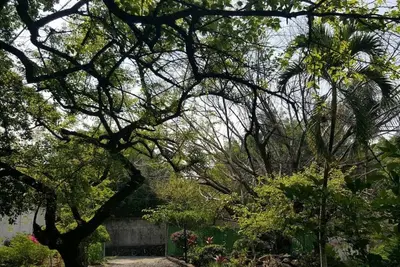 Image de La Palma, Crucero Tezoyuca (Bungalow entier)