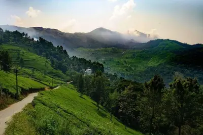 Linten Holiday Resort, Propriété située à Munnar. À 4, 7 km de la ville de Munnar