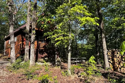 Image de Cabine De Grandpa Dans Les Bois