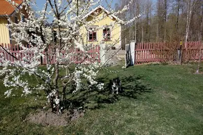 Image de Ängbacka Gårds Bed & Breakfast