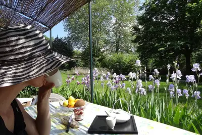 Image de Gîte de charme - terrasse privée avec vue sur le grand parc arboré