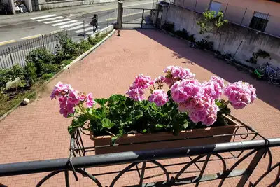 Image de Casa Marina. . Ă deux pas du centre!