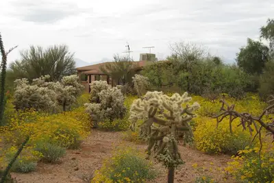 Image de La tranquillité du désert. Observation des étoiles, observation des oiseaux et faune à gogo!
