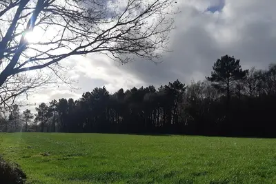 Image de La maison de l'oncle Antonio, en Galice. Un refuge parmi les arbres. Accepter les animaux