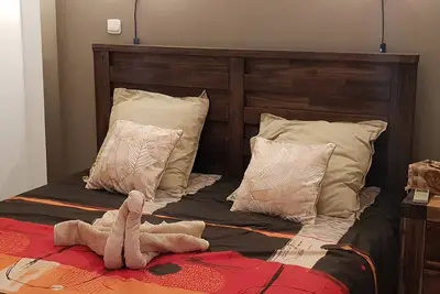 Image de T2 confort et chaleureux (bienvenue chez zot)