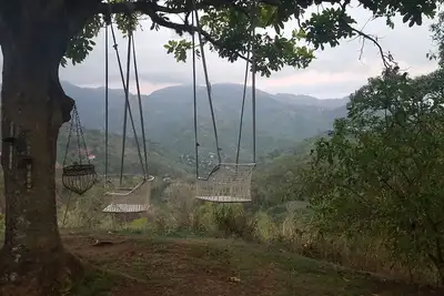 Image de Quinze minutes au-dessus de Kingston, en Jamaïque, c'est le «North Light»