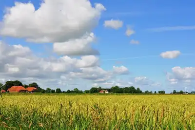 Image de Maison de vacances familiale dans un champ de maïs dans un endroit isolé, chiens admis.