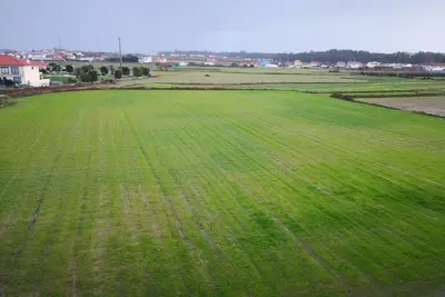 Image de Appartement \"Farol Nascente\" avec vue sur la mer!