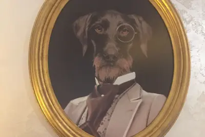 Image de . . . . . . . . . . . . . . . . . . . . . . . . . . . . . . . . . . . . . . . . . . . . . . . . . . . . . . . . . . . . . . . . . . . . . .