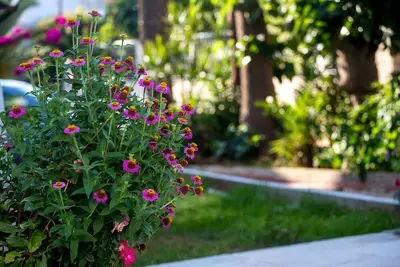 Image de Maison d'été avec vue sur la mer