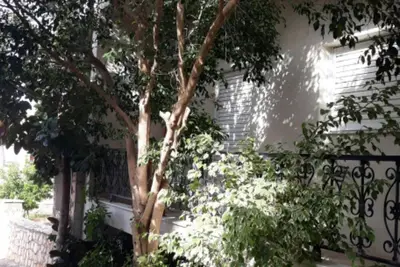 Image de Resort Boutique Hotel