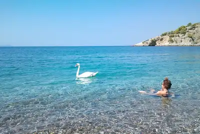Image de Studios en bord de mer dans une baie préservée à seulement 1h de route d'Athènes (Psatha - Attique)