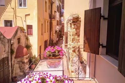 Helios Traditional Home