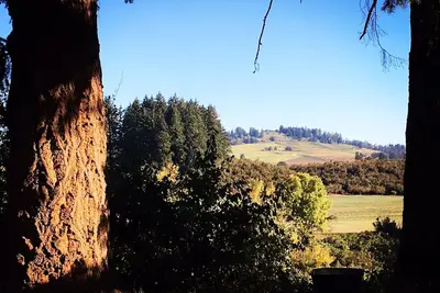 Image de Flower Farm with Vineyard Views