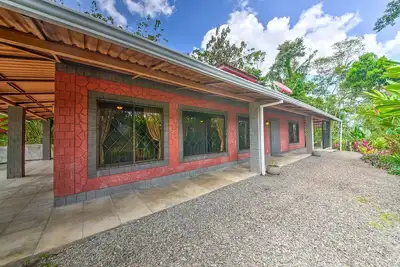 Image de Éveillez vos sens dans une forêt tropicale luxuriante du Costa Rica!
