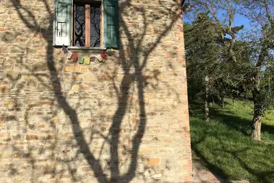 Image de Rustique entre chênes et tamaris, dans la Valle Del Sillaro.