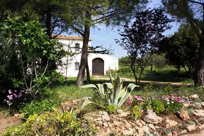 Image de Maison de campagne entourée de vignes.