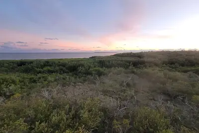 Image de 🌊Full Oean View dernier étage. OwnersPropriétaires 🦞 dates disponibles🌞