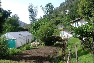 Image de Pindari Glacier Homestay