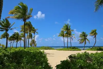 Image de Bella Cabana à Pelican Cove - Un paradis en bord de mer