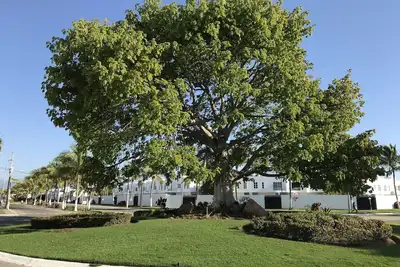 Image de Mi casa es tu casa! vacaciones en la playa