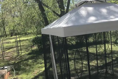 Image de Chirping Bird House Propriété