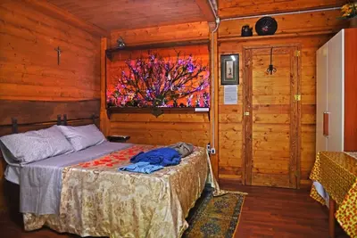 Image de Chalet dans le bois de 16 m² + services, immergé dans la verdure du domaine Bocchineri.