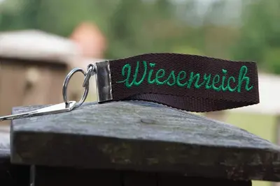 Image de Fewo Wiesenreich - Sophienhof Nouveau Heinde