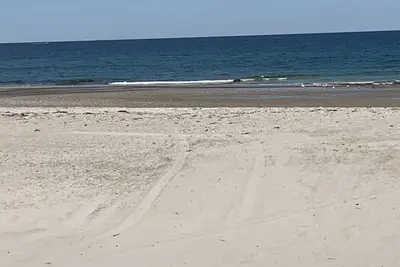 Image de Plage de cheval blanc à Plymouth