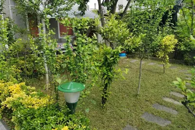 Image de Maison Avec Jardin De Tina