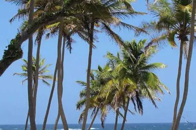 Image de Homerez - Maison à Sainte-Anne