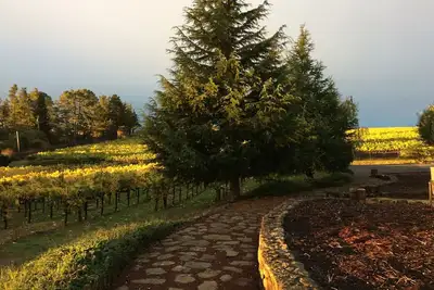 Image de Domaine viticole fermé au milieu de centaines d'acres de vignobles