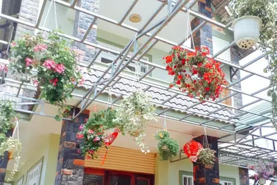 288 Moka Homestay Tp Dalat Vietnam