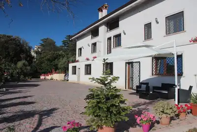 Image de la terrasse frascati