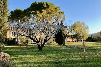 Image de Mas lumineux, climatisé, grande piscine, cuisine d'été