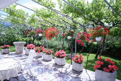 Image de Appartements Villa Marica (60247-A2) - Silo - île de Krk