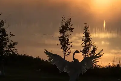 Image de Maison de transport du lac Misty