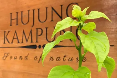 Image de Hujung Kampung Resort